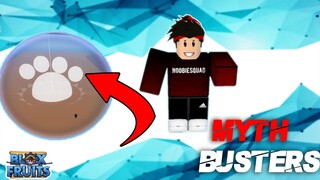 Myth buster #4 |Blox-Fruits|Roblox |🔲