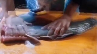 鱼：要不是我没头，指定给你来一口