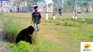 Troll Giả Khỉ Đi Dọa Và Cái Kết #Prank