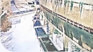 سوشي وشانزي يتحدثان عبر الفيديو ظنوا أنه انقطع الاتصال بالفعل بدأ 0721