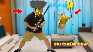 Thú Cưng Vlog | Chó Shiba Ngầu Nhất và Si Lùn #9 | Chó thông minh vui nhộn | Smart dog funny pets