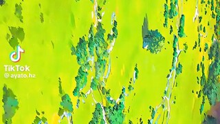 world of animay❤️❤️