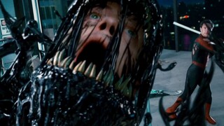 Spider-Man vs. Venom