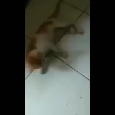 Khởi động thất bại