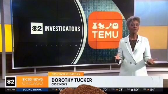 Wow, TEMU is great!