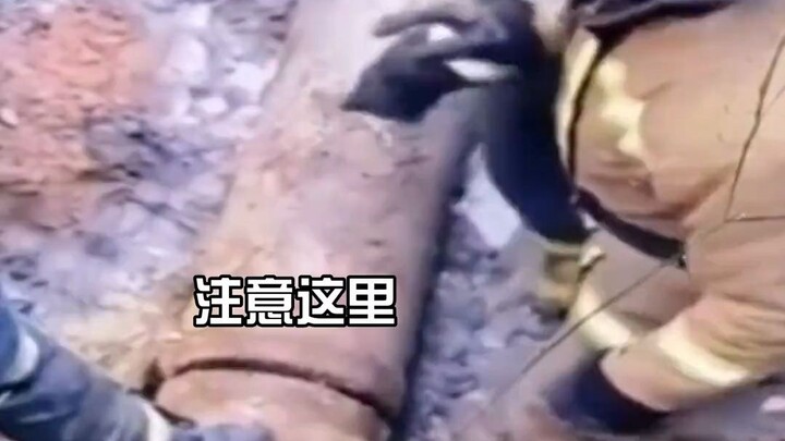 “The Most Dedicated Sewer Repairman”