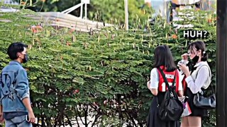 Pick-up lines prank 🥳