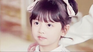 17-40 หนู
