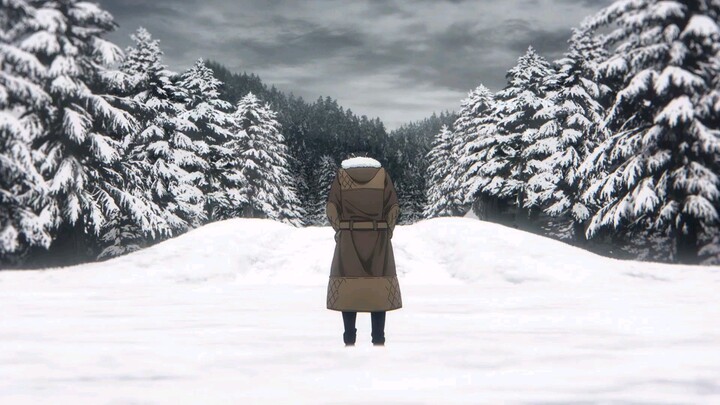 Sung Jinwoo Vs Baruka