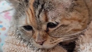 Man, they all say I'm fat.