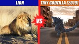 Lion vs Tiny Godzilla (2019) | SPORE