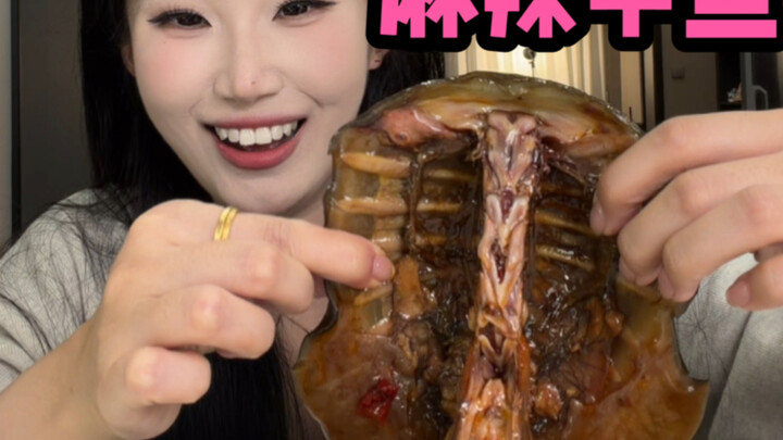 Không một con ba ba nào có thể thoát khỏi lòng bàn tay tôi