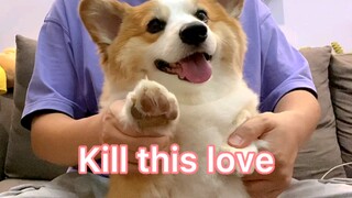 Boss Pi's Hot Dance | Kill This Love