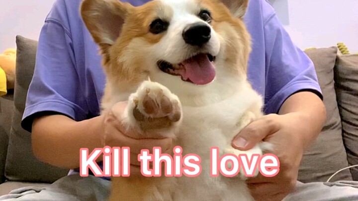 Boss Pi's Hot Dance | Kill This Love