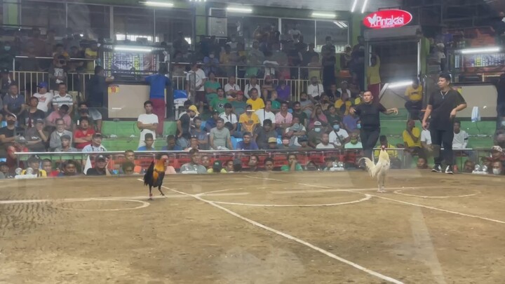WIN - TRIPLE R FATHER & SONS vs MANNY SANTOS