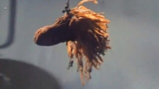 这才是抠门的最高境界