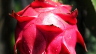 人与人之间永远存在差距，不必过于自卑，人生更是如此，很多人活到六十岁的时候，还衣不蔽体、食不果腹，而有些人生下来就已经继承了万亿家产