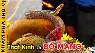 🔥 Rợn Tóc Gáy Khi Bước Vào 7 Ngôi Đền Rắn Linh Thiêng Được RẮN THẦN Bảo Vệ Suốt 100 Năm | KPTV