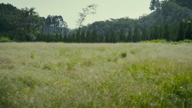 Part 3|Baby assassins