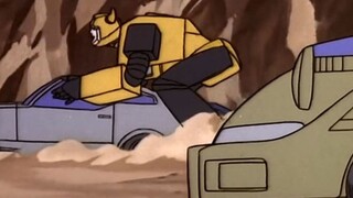 Autobot Behavior Guide
