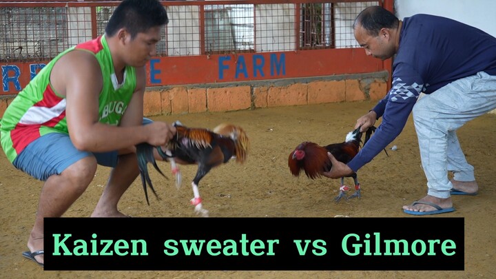 01 Kaizen sweater vs Gilmore | Kaizen farm