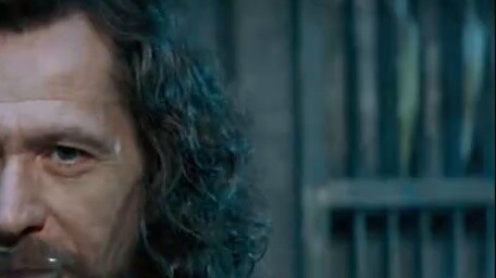 If you use a line of lyrics to describe the characters in Harry Potter