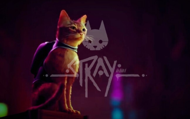 stray