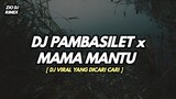 DJ PAMBASILET AYAM AYAM VIRAL TIKTOK TERBARU 2021 || Zio DJ Remix