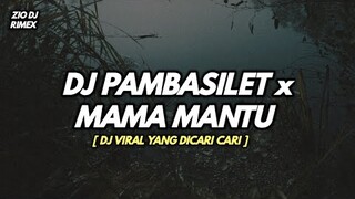 DJ PAMBASILET AYAM AYAM VIRAL TIKTOK TERBARU 2021 || Zio DJ Remix