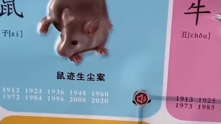 โตมาตั้งนาน ที่แท้เสือก็เรียกว่าแบบนี้เหรอ?