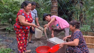 Một Đêm Mưa Lớn và Nước Rong Con Trai Ra Vườn Cấm Câu Trúng Mánh Bầy Cá Khủng | TKQ & Family T1043