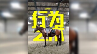 原谅我欣赏不来高雅的行为艺术....