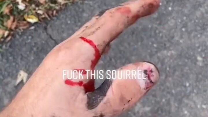 ตราบใดที่ฉันคว้า ดึง และโยนอย่างรวดเร็ว กระรอกน้อยก็จะพ้นจากปัญหาทันที