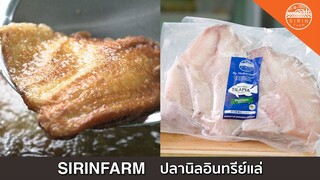 ปลานิลอินทรีย์ - คนฟาร์มทำครัว EP.72