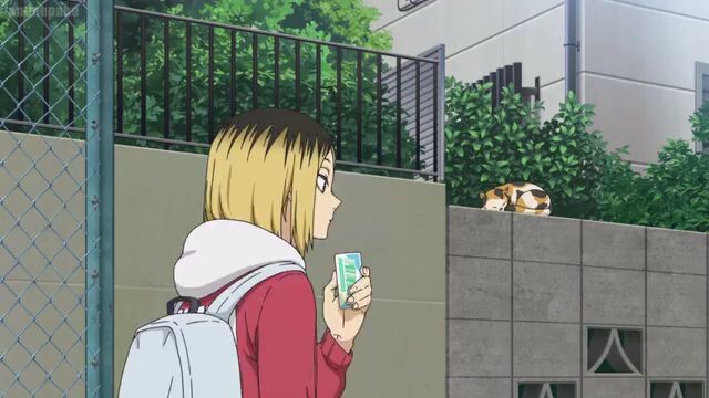new haikyuu karasuna vs nekoma
