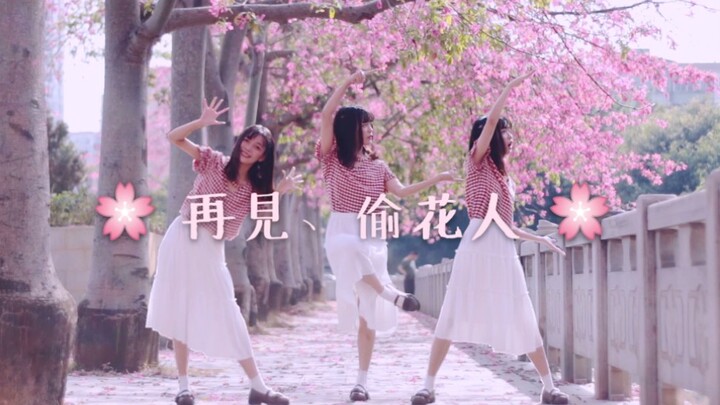 【Ngốc nghếch】❀ Tạm biệt, kẻ trộm hoa ❀