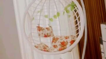 95.Blind heires saves bird,fish,cat,dog—they help her crush scum regain sight take over rich family.