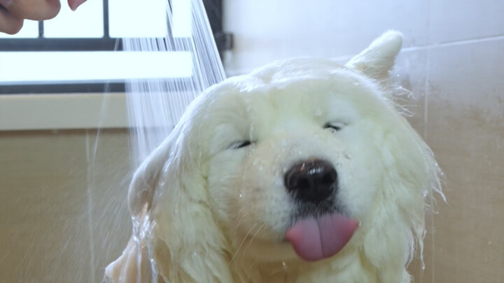 It took five hours to make steamed buns with unpaste dough