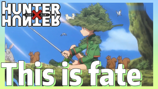 This is fate