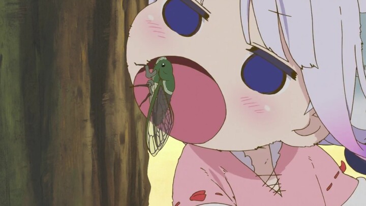 จั๊กจั่นร้องเรียก Conna กินมัน!