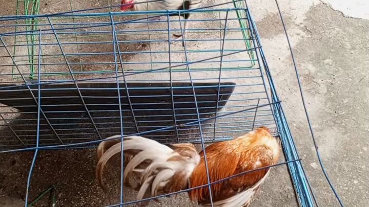 pag hahanda para sa 2hits exam