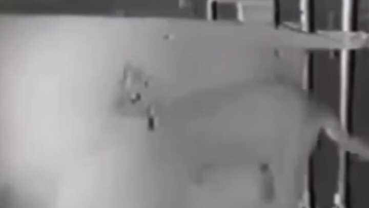 สารคดีความรู้: การเดินของฮากิมิไม่ได้เกิดจากสัญญาณกระตุ้นจากประสาทสัมผัส แต่เป็นผลมาจากไขสันหลังและเ