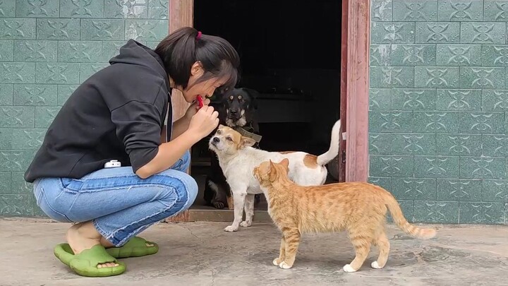 On rainy days in the countryside, we all huddle together munching on spicy strips.
