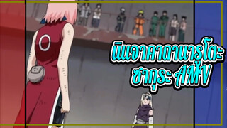 นินจาคาถานารูโตะ | ซากุระ AMV