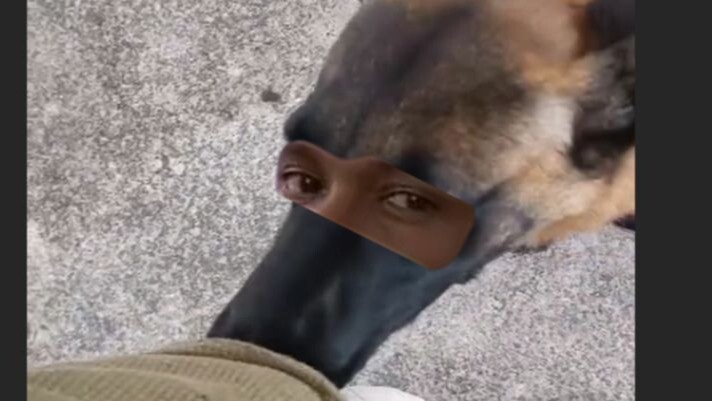 أفضل صديق للإنسان يشك في أن صديقه يحمل مواد خطرة