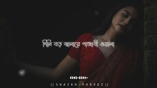 পাঞ্জাবী ওয়ালা [SLOWED REVERB] Tik Tok Vairal Song 2024