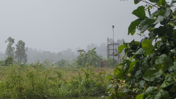 Rain with a beautiful morning