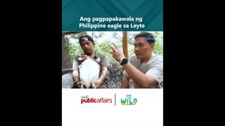 Ang pagpapakawala ng Philippine eagle sa Leyte | Born to be Wild