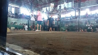 first fight win bilis ng laban. beautiful GF