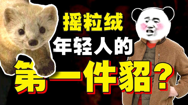 过冬神器！貂毛平替？全是科技与狠活？摇粒绒发展简史【暗中观察252】IC实验室
